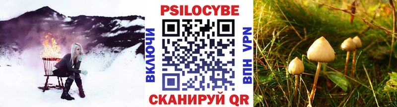 закладка  Лагань  Галлюциногенные грибы мухоморы 
